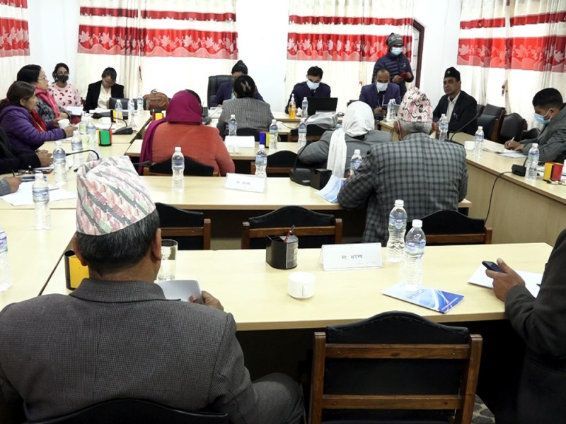 प्रतिनिधिसभाको महिला समितिमा लिभिङ टुगेदरबारे छलफल